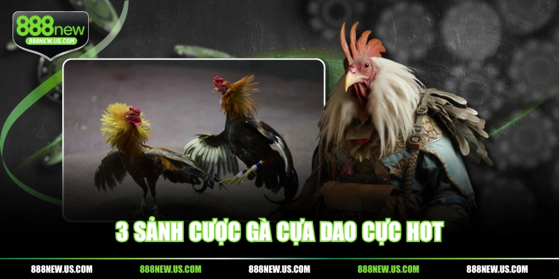 3 sảnh cược gà cựa dao cực hot 3 sảnh cược gà cựa dao cực hot