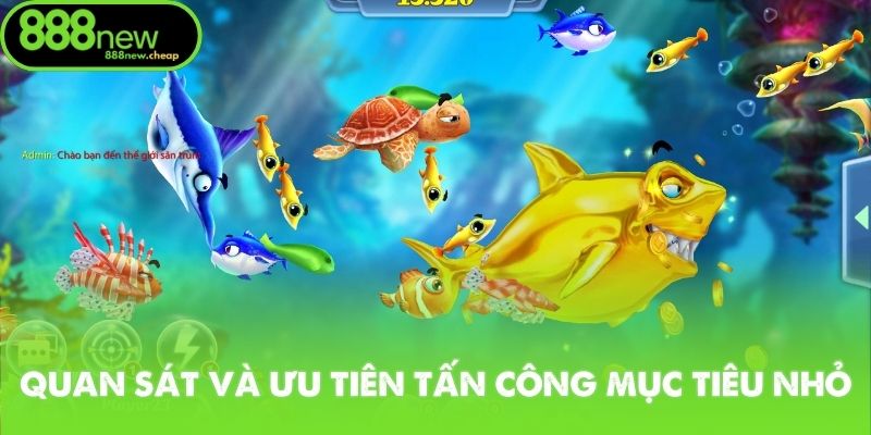 Quan sát và ưu tiên tấn công mục tiêu nhỏ