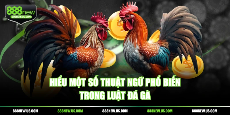 Hiểu một số thuật ngữ phổ biến trong luật đá gà Hiểu một số thuật ngữ phổ biến trong luật đá gà