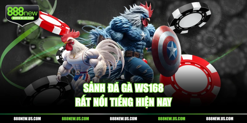 Sảnh đá gà WS168 rất nổi tiếng hiện nay Sảnh đá gà WS168 rất nổi tiếng hiện nay